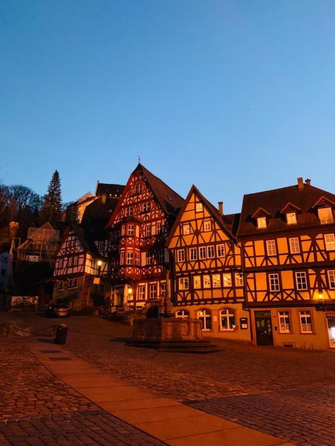 Ferienwohnung Am Brunnen Großheubach Exteriér fotografie