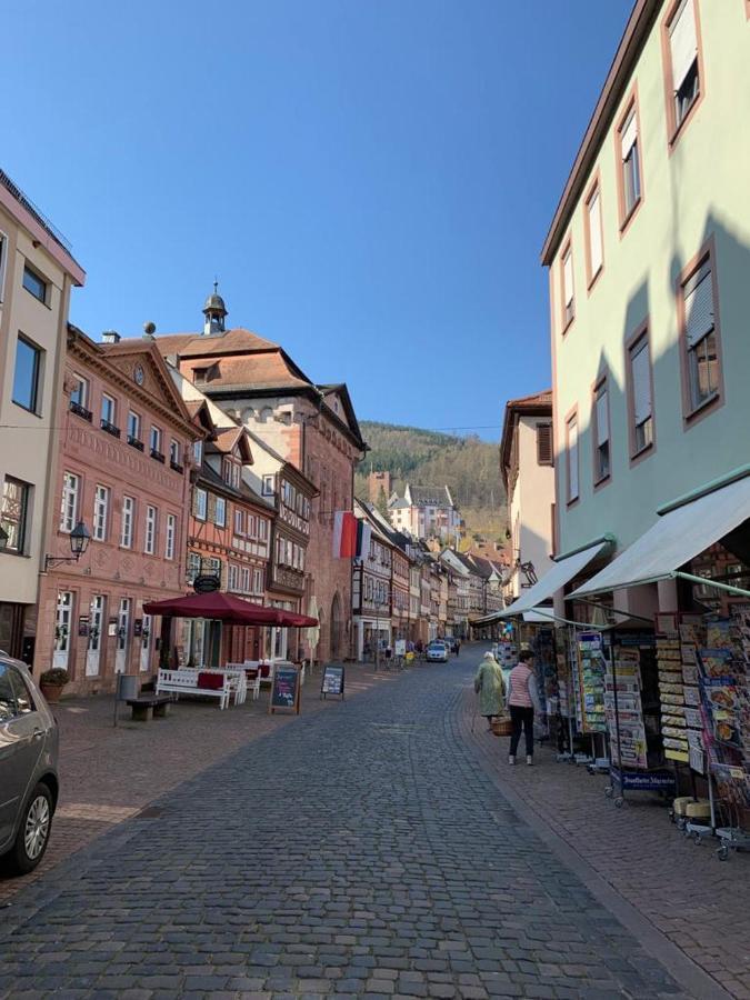 Ferienwohnung Am Brunnen Großheubach Exteriér fotografie