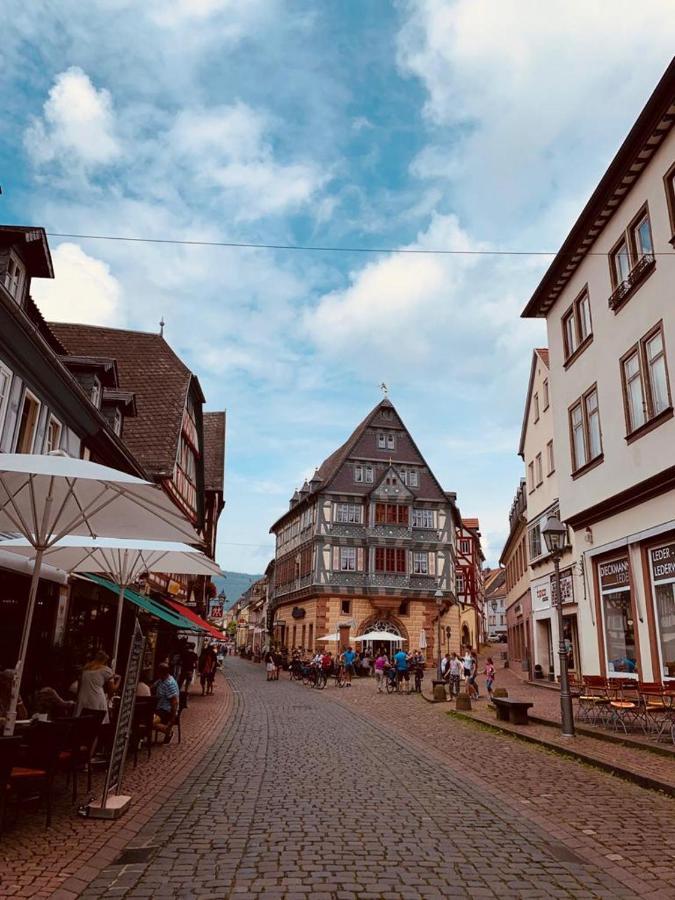 Ferienwohnung Am Brunnen Großheubach Exteriér fotografie